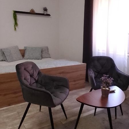 Viva Budapest Apartman Kültér fotó